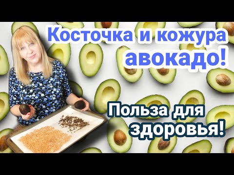 Video: Авокадо порошок көктөрү: Авокадо дарактарындагы порошок көктү кантип дарылоо керек