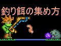 Terrariaコンプリートを目指して…PART159 -Fishing Bait Farm 釣り餌の集め方-