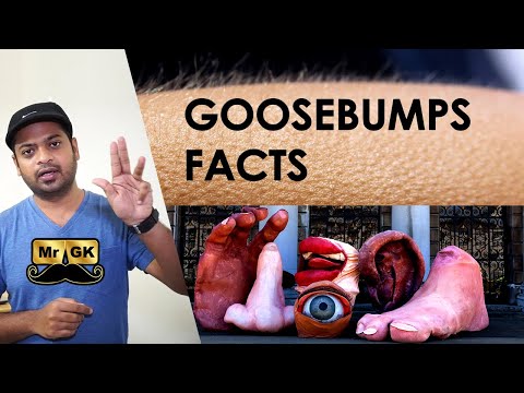 Goosebumps Facts you should know about your body! | Wow Facts Ep #2 | Mr.GK