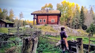 картинка: Шторм, урожай и Форикол — октябрь в норвежском усадьбе, не подключенной к электросети