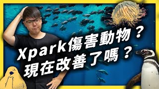 Xpark 真的有好好照顧動物嗎志祺帶你現場直擊志祺七七