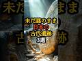 未だ謎のまま…日本の古代遺跡3選 #日本の古代遺跡 #日本のミステリー #歴史ミステリー
