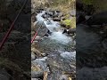 Ловим форель в горной реке на червя