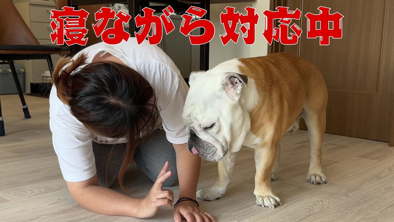 その他 ぶるまる様専用
