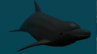 Blender 2.6x Demo File - Dolphin [HD]