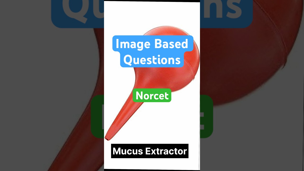 Image Based Questions for Norcet | #obg #imagebasedquestion #norcet #norcet10 #norcet2026 #nursing