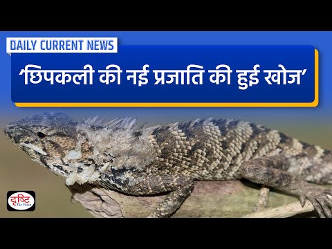 छिपकली की नई प्रजाति Daily Current News | Drishti IAS