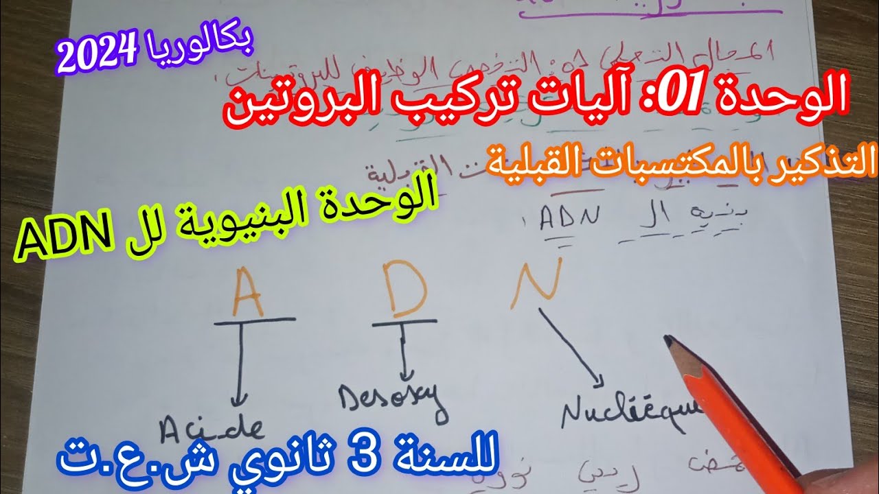 الوحدة 01:آليات تركيب البروتين(مراجعة المكتسبات القبلية)الوحدة البنيوية لل ADN|للسنة 3 ثانوي ش.ع.ت