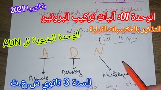 الوحدة 01:آليات تركيب البروتين(مراجعة المكتسبات القبلية)الوحدة البنيوية لل ADN|للسنة 3 ثانوي ش.ع.ت