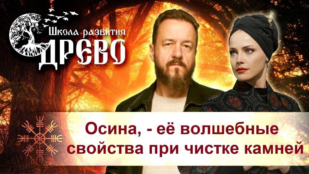 Осина, - её волшебные свойства при чистке камней