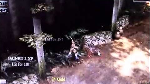 Guild of Heroes - Zynga - 2008