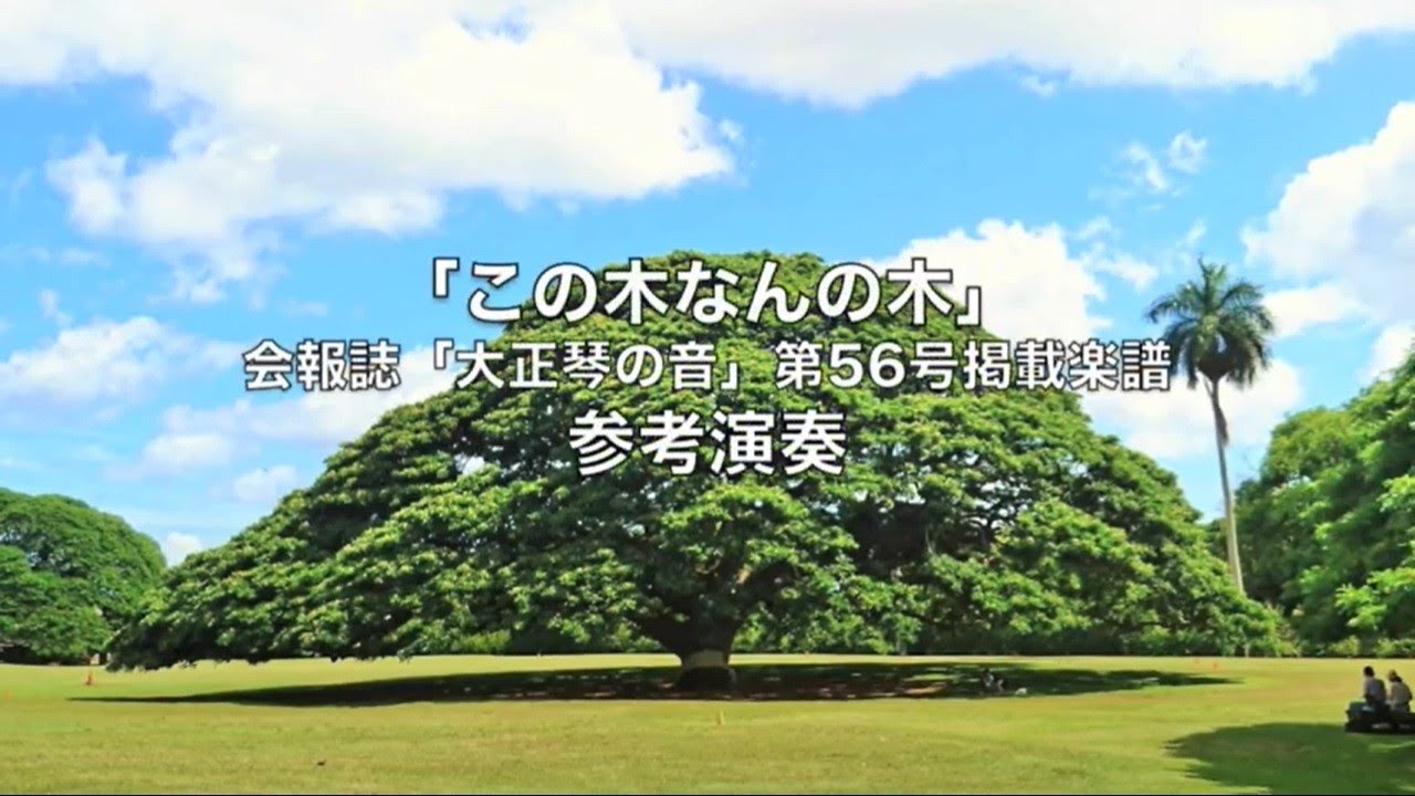 スズキオンラインショップ / この木なんの木