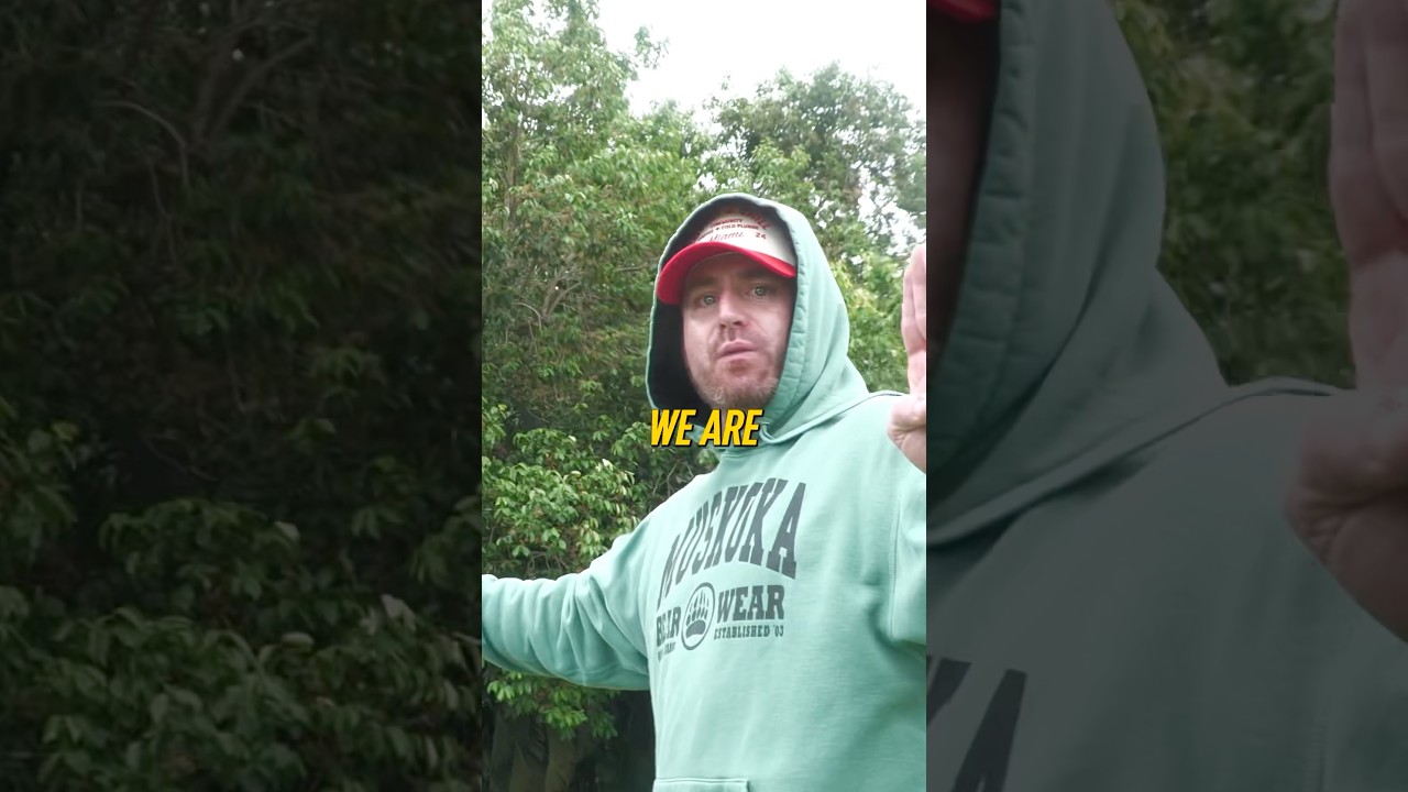 Bob vs Salim MMA Who’s Winning?! 👊