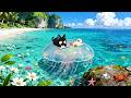 Even in deep waters, you are safe here.... 🪼🌊 | Jazz Lofi for Concentration | Deep work & Study