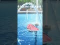 公園でロックを磨く後藤ひとり(ぼっちちゃん) #anime #shorts