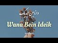 WANA BEIN IDEIK NANCY AJRAM Lyrics