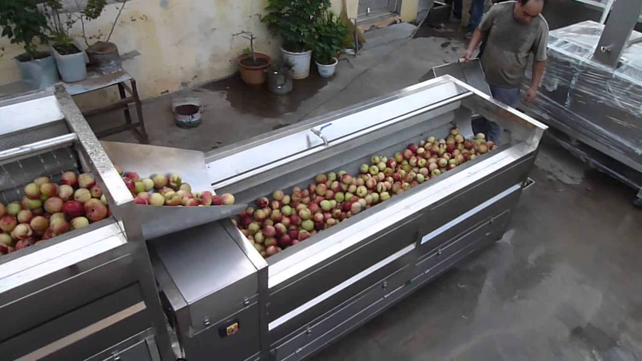 Peanut Washing Machine