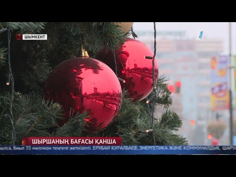 Шымкент әкімдігі жаңажылдық шыршаға 35 млн теңге бөлді