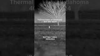 Boy Coyote Hunting With The Iray Tx60C Thermal Scope