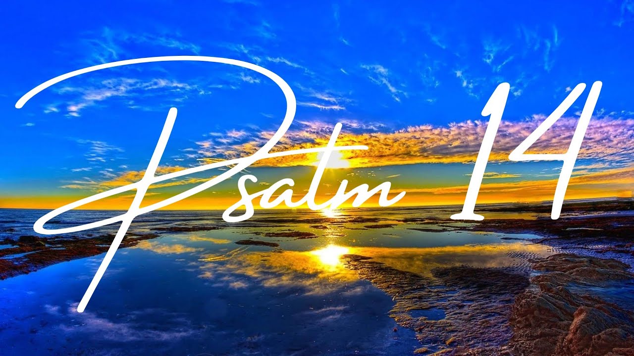 Psalm 14 Audio Bible (Soaking Worship)