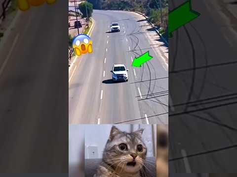 JOGET OPO WAE TAK TABRAK VIRAL #trends #kembar #jogetviral #dance #shorts