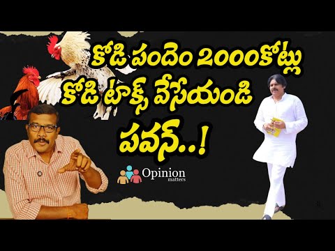 Tax on Cockfighting | Andhra Pradesh Deputy CM Pawan Kalyan hould think about It | Opinion Matters
