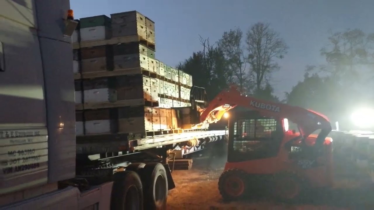 Honey bees tip  Load