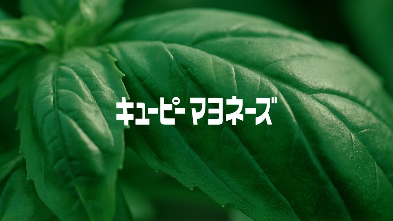 キユーピー マヨネーズ バジル 篇30秒 キユーピーcm Youtube