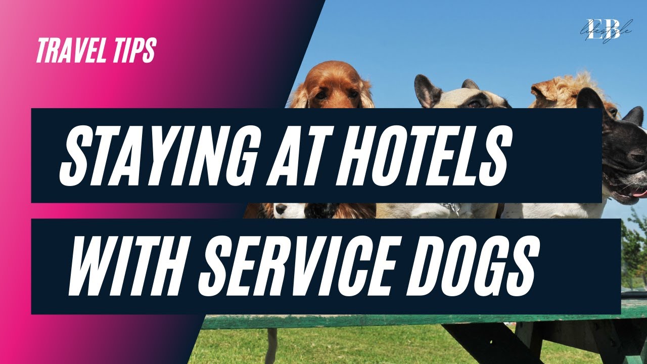 Are Esa Dogs Allowed In Hotels