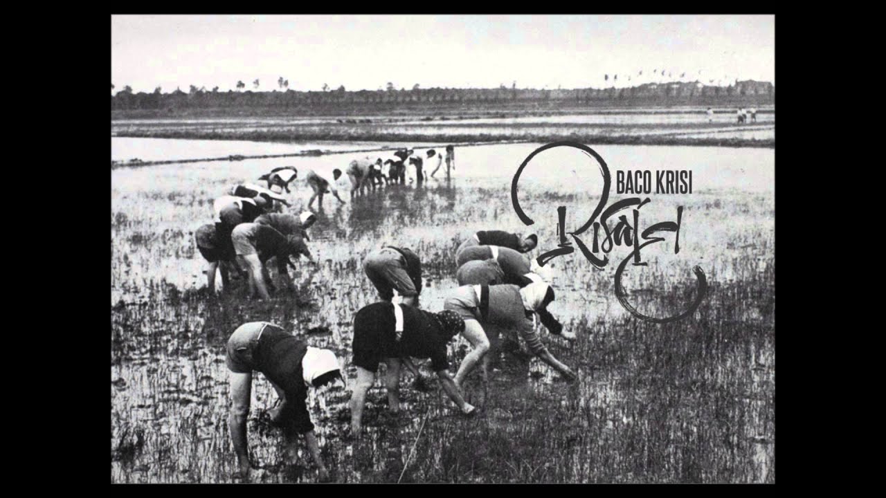 Baco Krisi / Risaie / Bonobo - Ten tigers / Inedito 2014