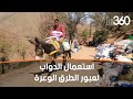بؤرة الزلزال سكان إيغيل يستعينون بالدواب لإيصال المساعدات للضحايا