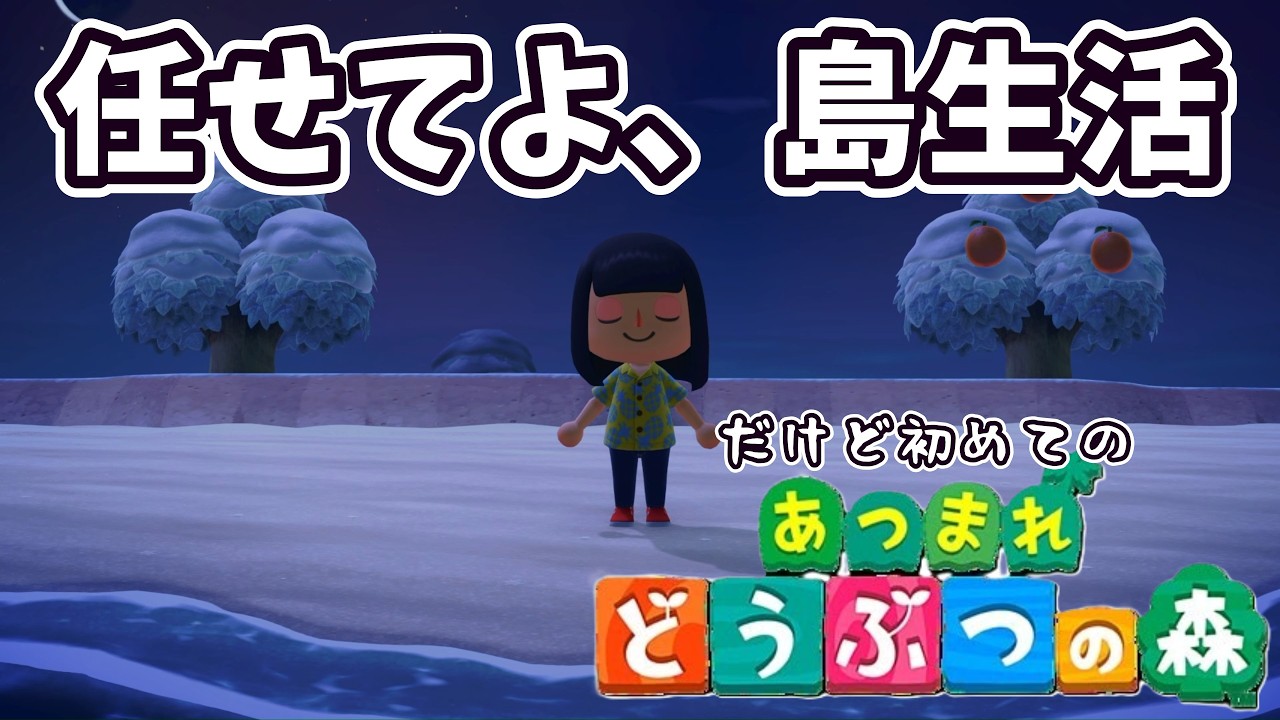 【あつ森】初めてのあつ森、2度目の島生活【Switch2】