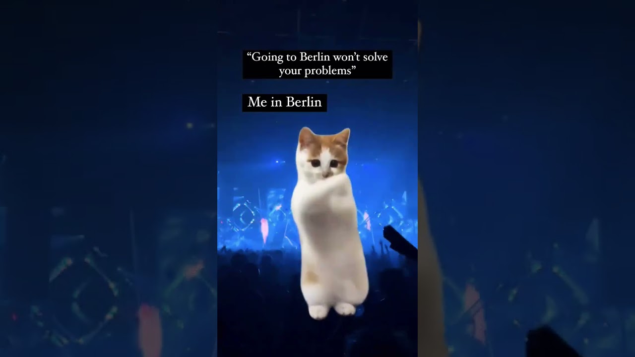 It kinda sorts things out for now.🪩