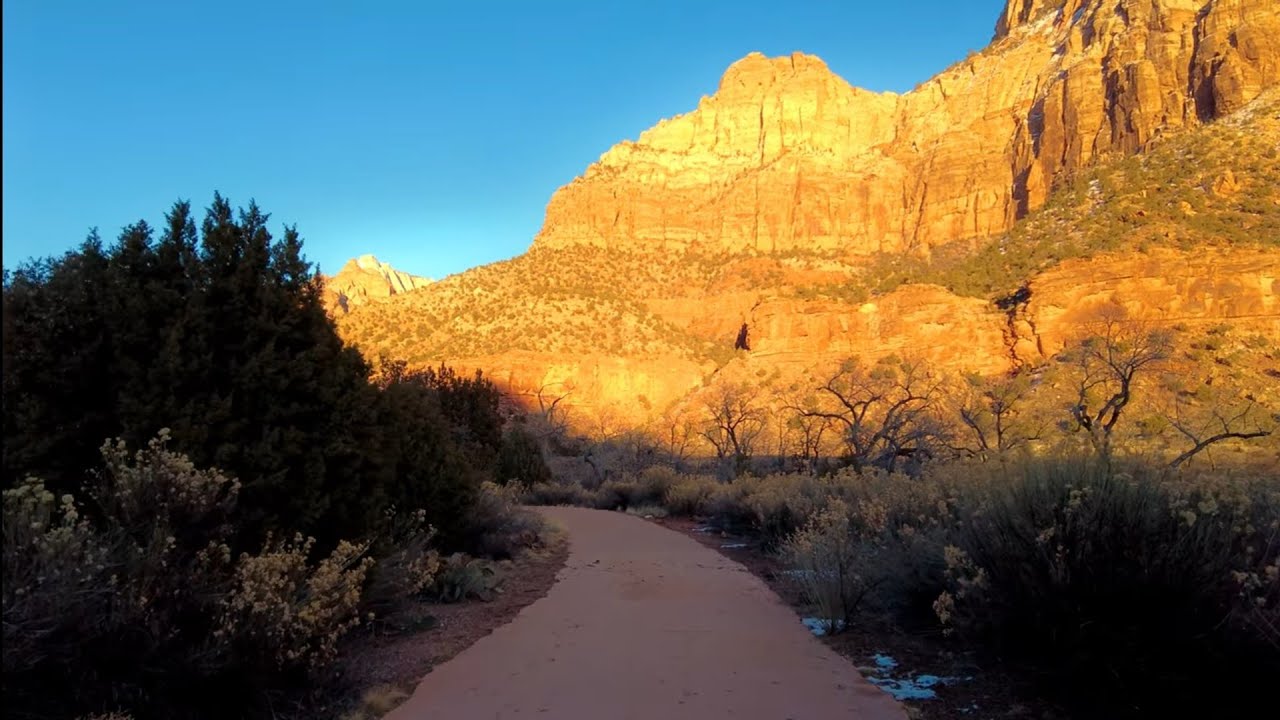 Zion National Park during golden hour! 🌞🍯 4K Desert Walk