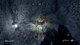 Here's Pauli! Achievement Guide