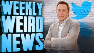 Nobody Works At Twitter Anymore - Weekly Weird News
