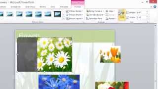 PowerPoint tips: How to create circular images with transparent backgrounds screenshot 4