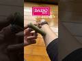 かゆみ・毒をギュッと吸引！ポイズンリムーバー#daiso#ダイソー購入品 #ダイソー