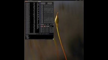 Debugging Windows on Linux over TCP