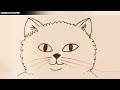 How to draw a kitten face