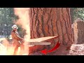 TOP 10 Extremely Dangerous Tree Felling Fails With Chainsaw ! Idiots Tree Cutting Down Skills