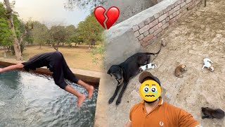 Billo 🐩 ne puppies nahi diye 💔 Tubewell 🌊 me jump kr di