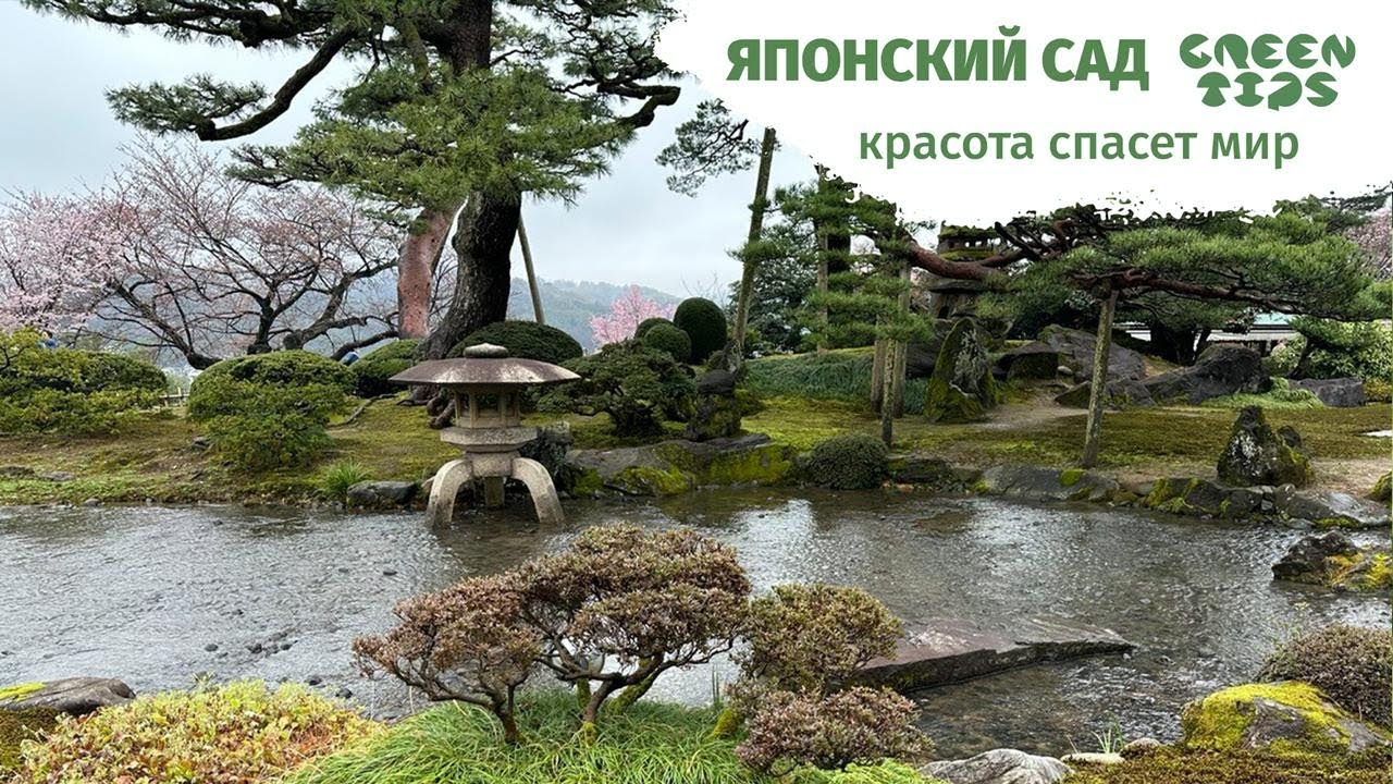 Японский сад. Красота спасет мир