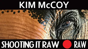 050 – Kim McCoy Gets Delightfully Bent About Animal Welfare Laws in Hong Kong and Beyond