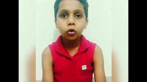 Butterfly with snake cube