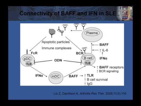 Advances in SLE and Vasculitis