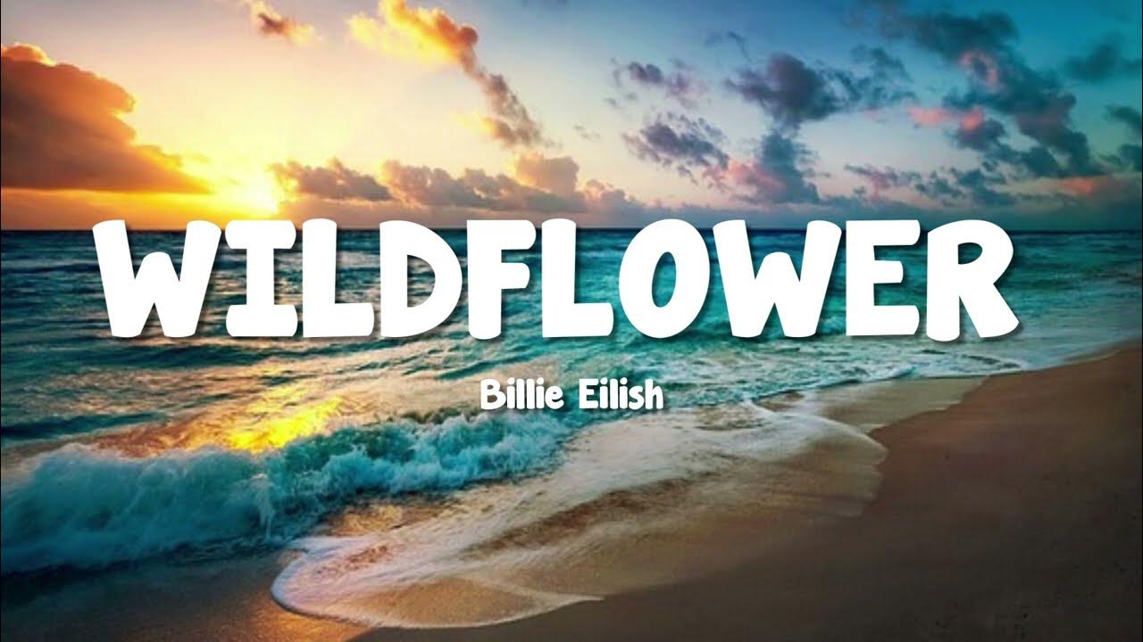 Billie Eilish - WILDFLOWER (Lyrics) 1hour Billie Eilish - WILDFLOWER (Lyrics) 1hour