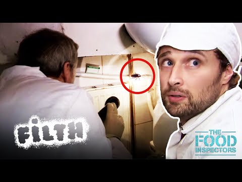 Food Inspector Finds Cockroaches in Kitchen! | Food Inspectors | Full Episode | Filth documentary thumbnail