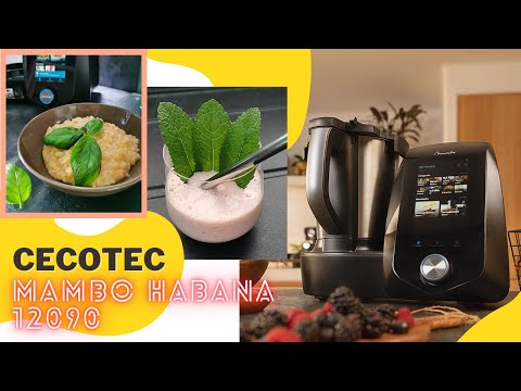 🍴 CrashTest du robot de cuisine MAMBO HABANA 12090 de chez @CecotecOficial | Recettes de glace et risotto 🤤