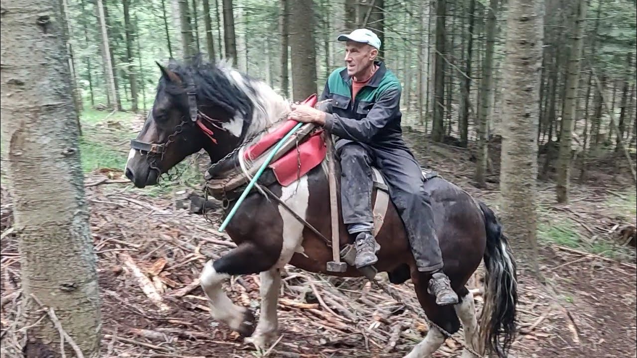 IZVOZ BALVANA - VELIKE STJENE !!!